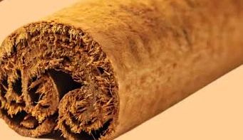 Detalle de las capas finas dentro de una rama de Ceilán