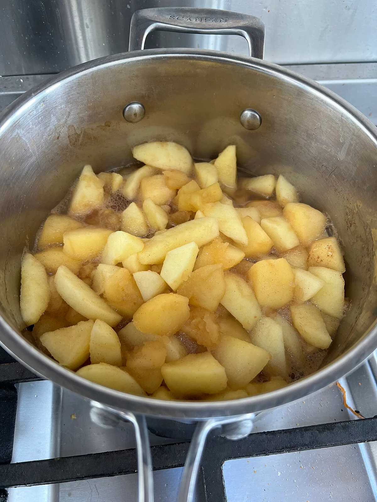 Spiced Apple Filling